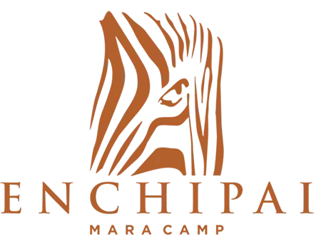 Enchipai Camp