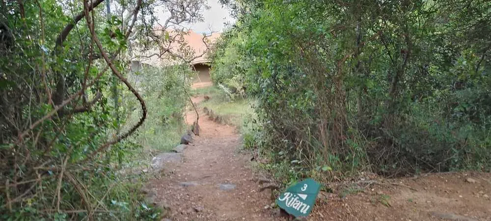 Kifaru-enchipai-tent