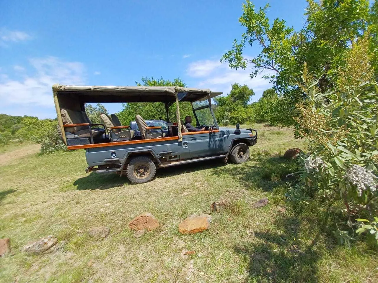Enchipai Game Drives